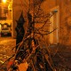 011113 (37) (Copia)