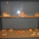 DSC02288