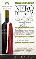 annuncio_neroditroia_web