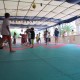APD-Judo-Trani-6