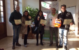 blsd-trani