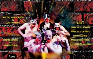 Grafica Orfam