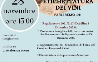 webinar 28 novembre (1)