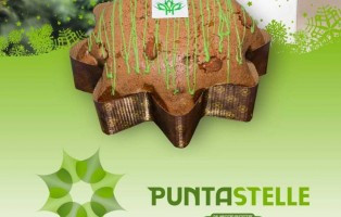 f27eca68-a08e-44f0-8ea1-7d2a6321f410